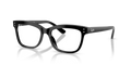 Black Tortoise