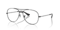 Black Tortoise
