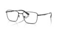 Black Tortoise