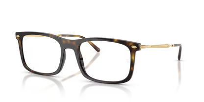 Rayban 0RX7260 2012 RAY-BAN