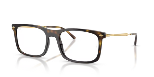 Rayban 0RX7260 2012