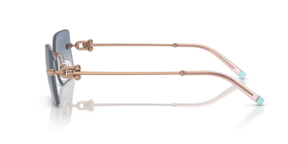 Tiffany & Co. 0TF3088