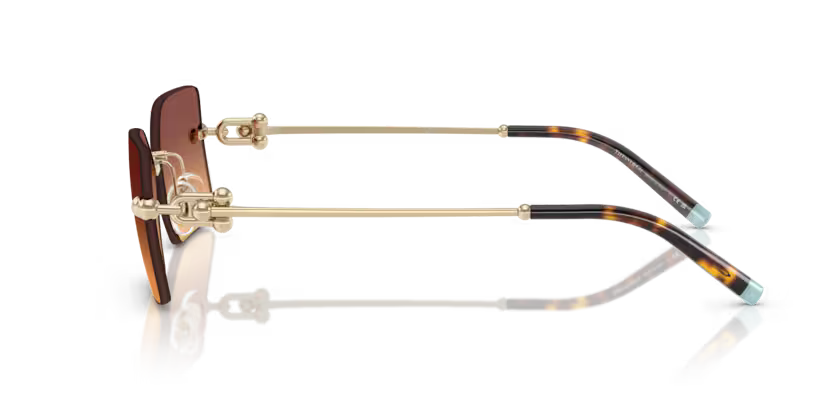 Tiffany & Co. 0TF3088