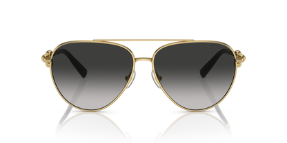 Tiffany & Co. 0TF3092