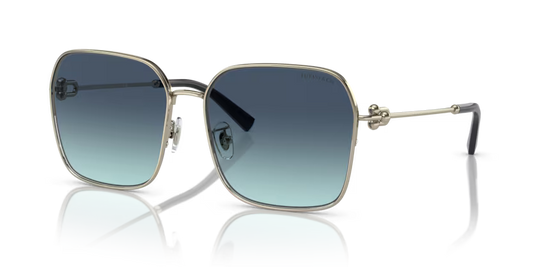 Tiffany & Co. 0TF3093D