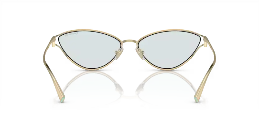 Tiffany & Co. 0TF3095
