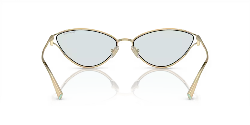 Tiffany & Co. 0TF3095