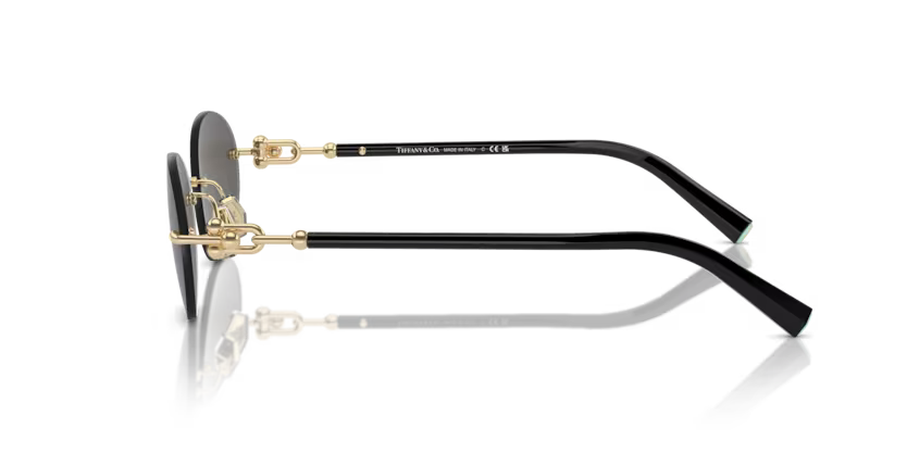 Tiffany & Co. 0TF3104D