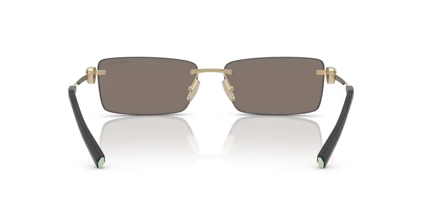 Tiffany & Co. 0TF3108B