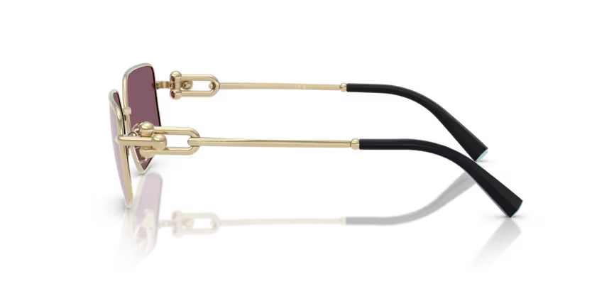 Tiffany & Co. 0TF3111