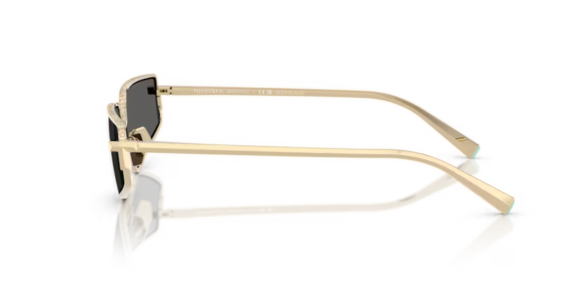 Tiffany & Co. 0TF3113KB