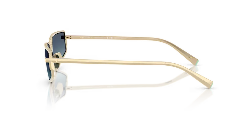 Tiffany & Co. 0TF3113KB