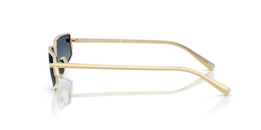 Tiffany & Co. 0TF3113KB