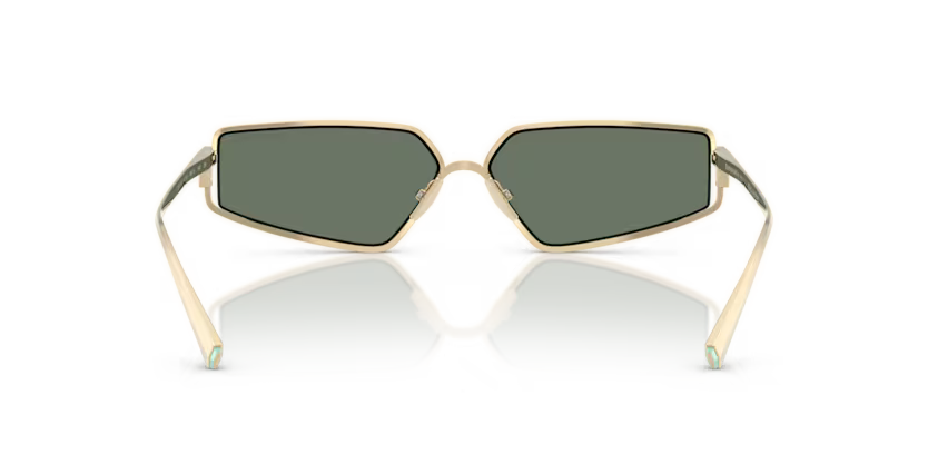 Tiffany & Co. 0TF3113KB