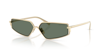 Tiffany & Co. 0TF3113KB