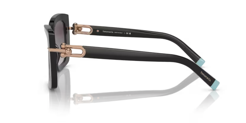 Tiffany & Co. 0TF4199