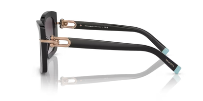 Tiffany & Co. 0TF4199