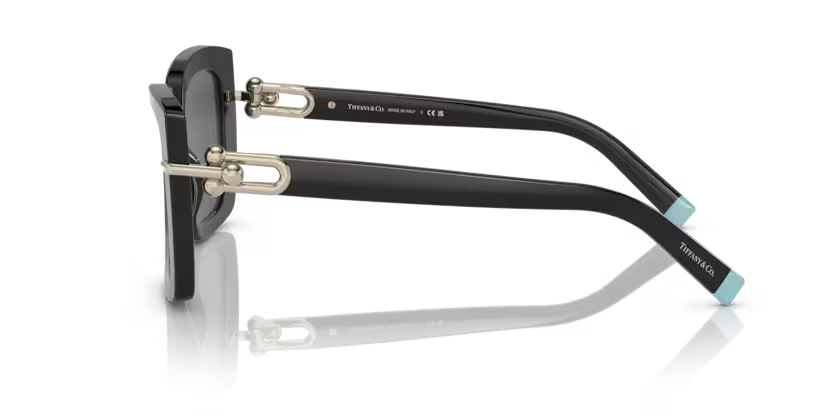 Tiffany & Co. 0TF4199