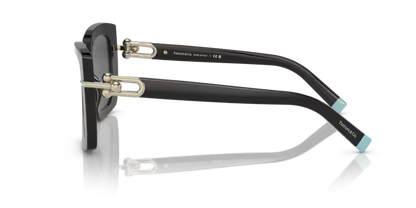 Tiffany & Co. 0TF4199