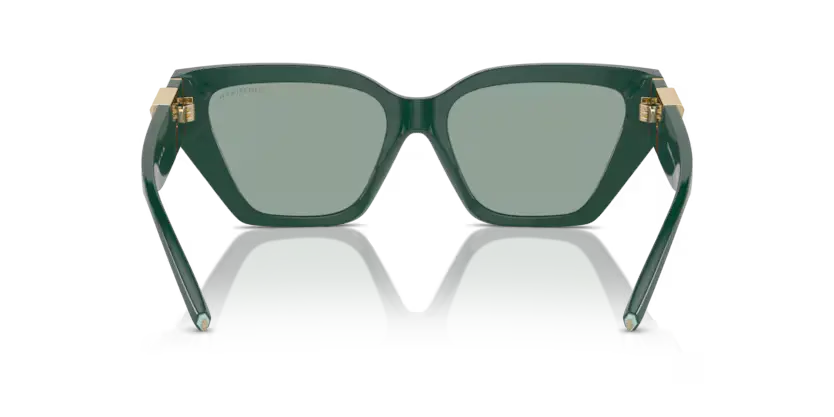 Tiffany & Co. 0TF4218