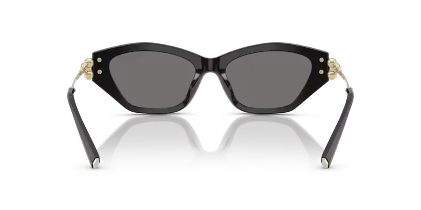Tiffany & Co. 0TF4231U