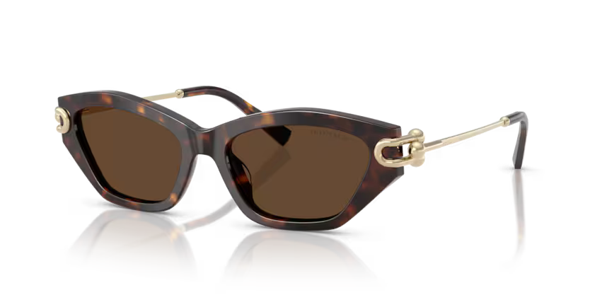 Tiffany & Co. 0TF4231U