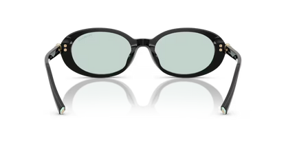 Tiffany & Co. 0TF4242D