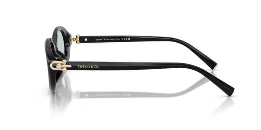Tiffany & Co. 0TF4242D