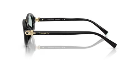 Tiffany & Co. 0TF4242D
