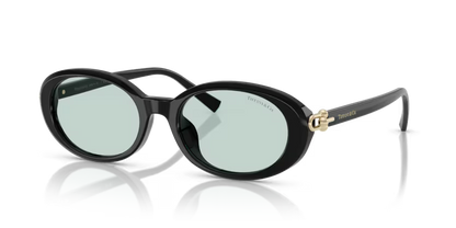 Tiffany & Co. 0TF4242D