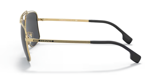 Versace ove2242 100287