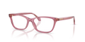 5234 Transparent Amarena