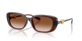 533213 transparent Brown