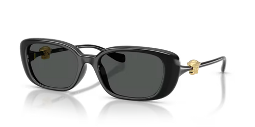 Versace 0VE4504D GB187