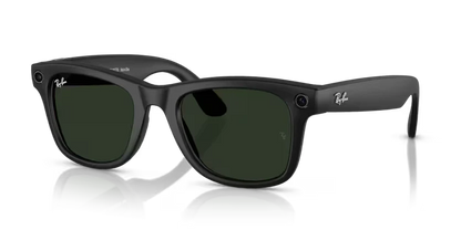 RAY-BAN META RW4006 Sunglasses