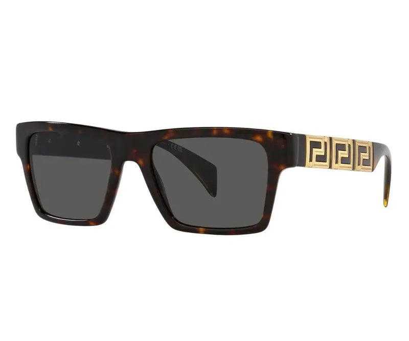 Versace 4445 108/87 54 VERSACE