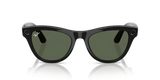 Ray-Ban Meta RW4010 Sunglasses Frame