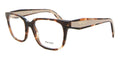07R-1O1 - Caramel Tortoise