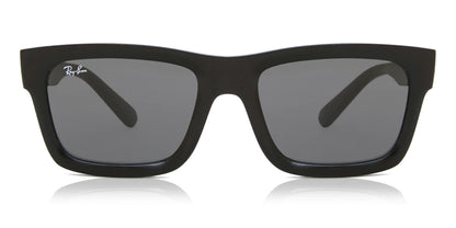 Ray-Ban RB4396 Warren 667787