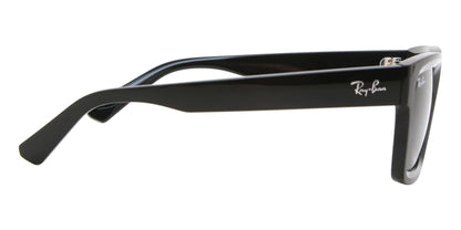 Ray-Ban RB4396 Warren 667787