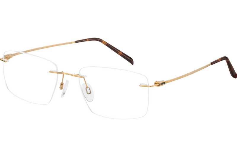 Charmant CH29718 GP