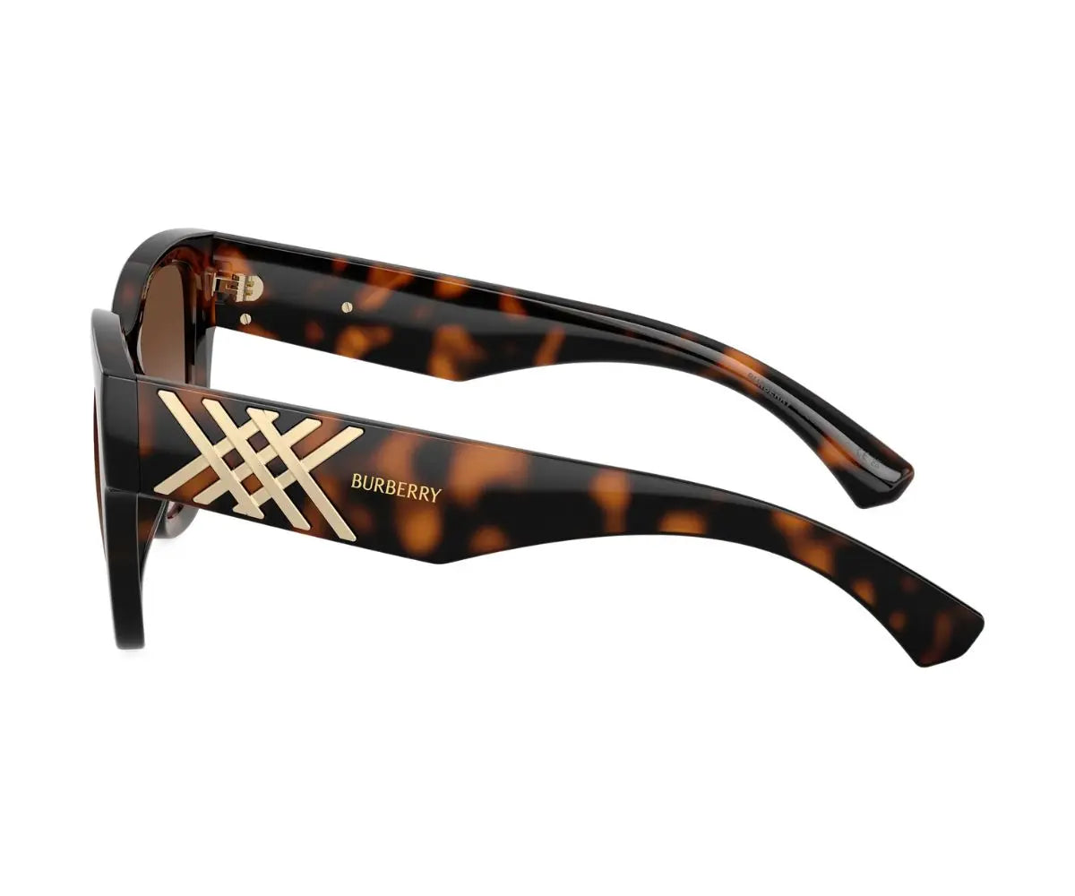 Tortoiseshell sunglasses with gold accents on a white background