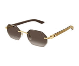 Cartier 0439S 006 54