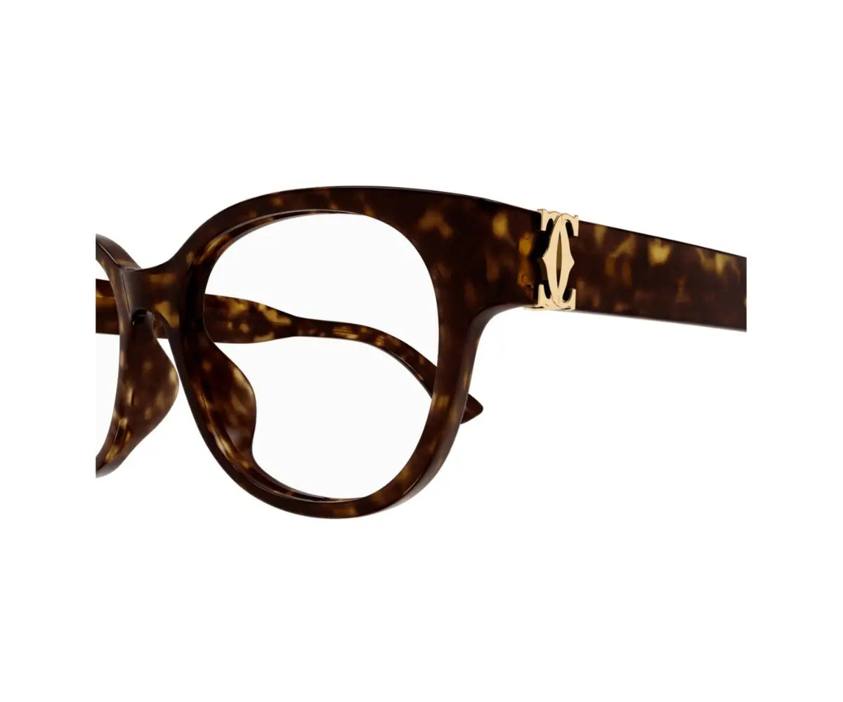 Tortoiseshell eyeglasses with a gold accent on a white background