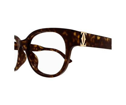 Tortoiseshell eyeglasses with a gold accent on a white background