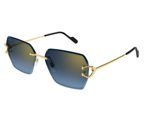 Cartier 0466S 002 58