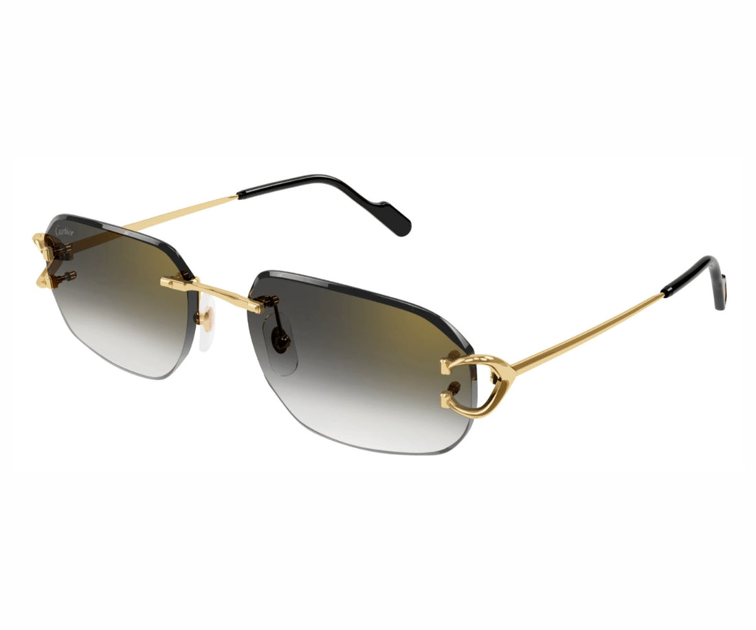 Cartier 0468S 001 58