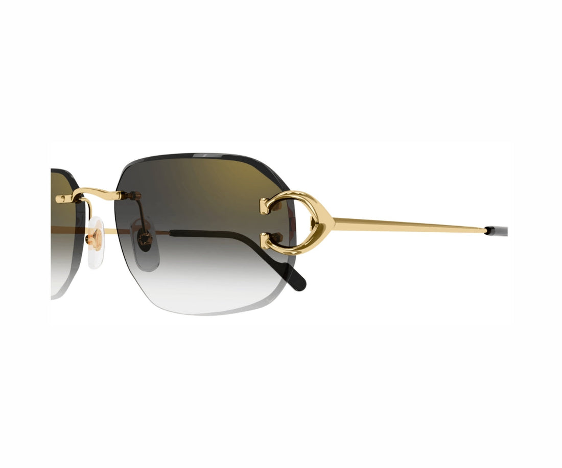 Cartier 0468S 001 58