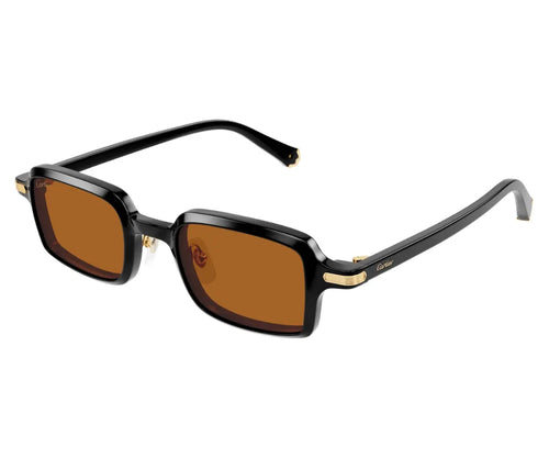 Cartier 0539S 003 49