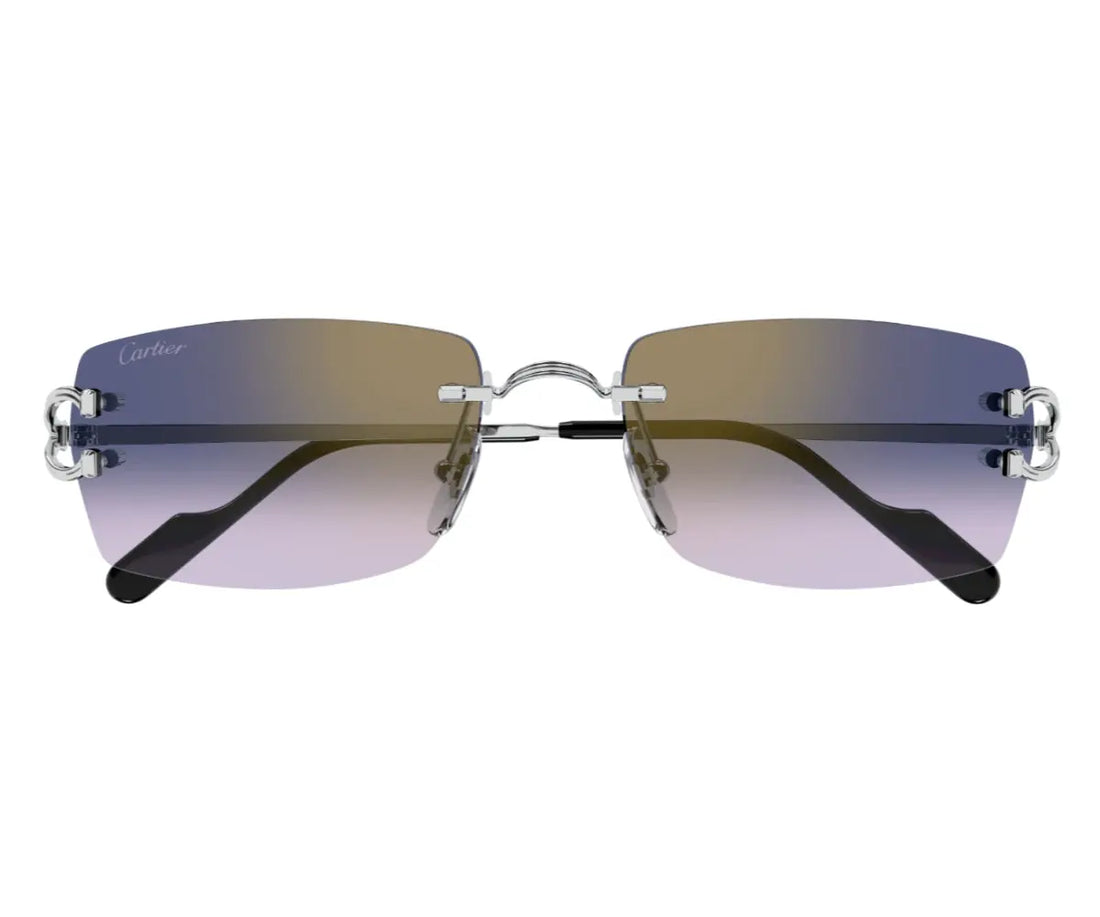 Cartier 0550S 003 56